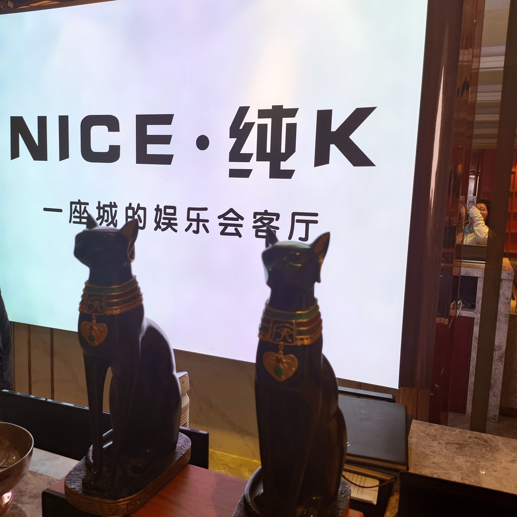 七台河商务ktv与片场区别-勃利县ktv预定